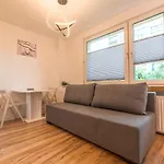 Brozka Comfort Apartment